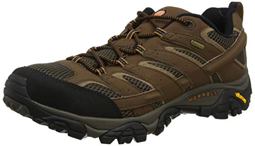 Merrell Men's Moab 2 Gtx Hiking Shoe, Earth, 12 M US