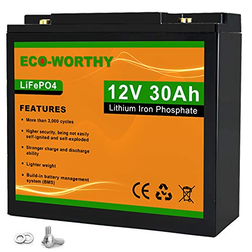 ECO-WORTHY 12V 30Ah LiFePO4 Lithium Iron Phosphate Battery Deep Cycle Rechargeable Battery with Built-in BMS, 3000+ Life Cycles, Perfect for RV, Marine, Kids Scooters, Power Wheels, Trolling Motor